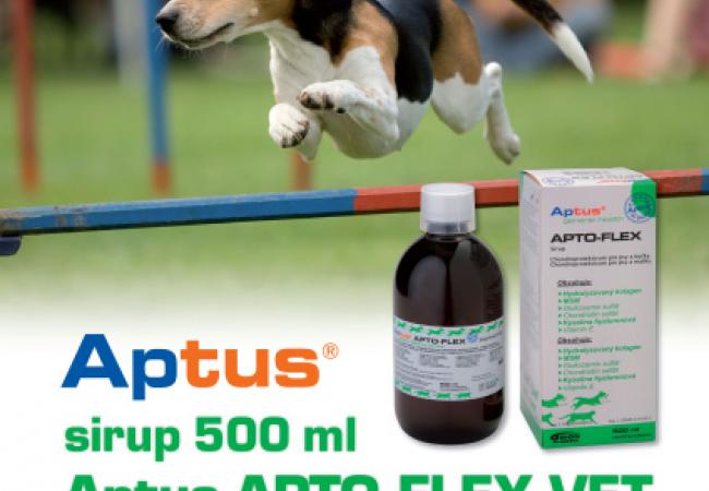 Orion Pharma